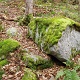 Many cool mossy rocks along the trail.